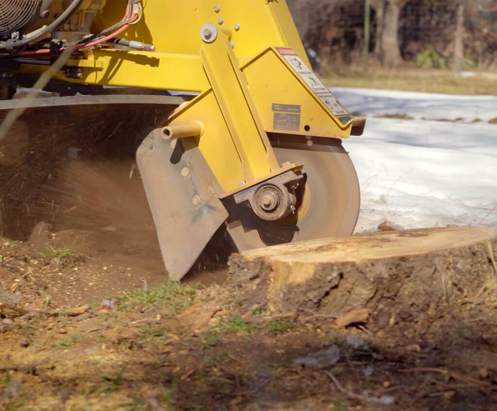 stump grinding service