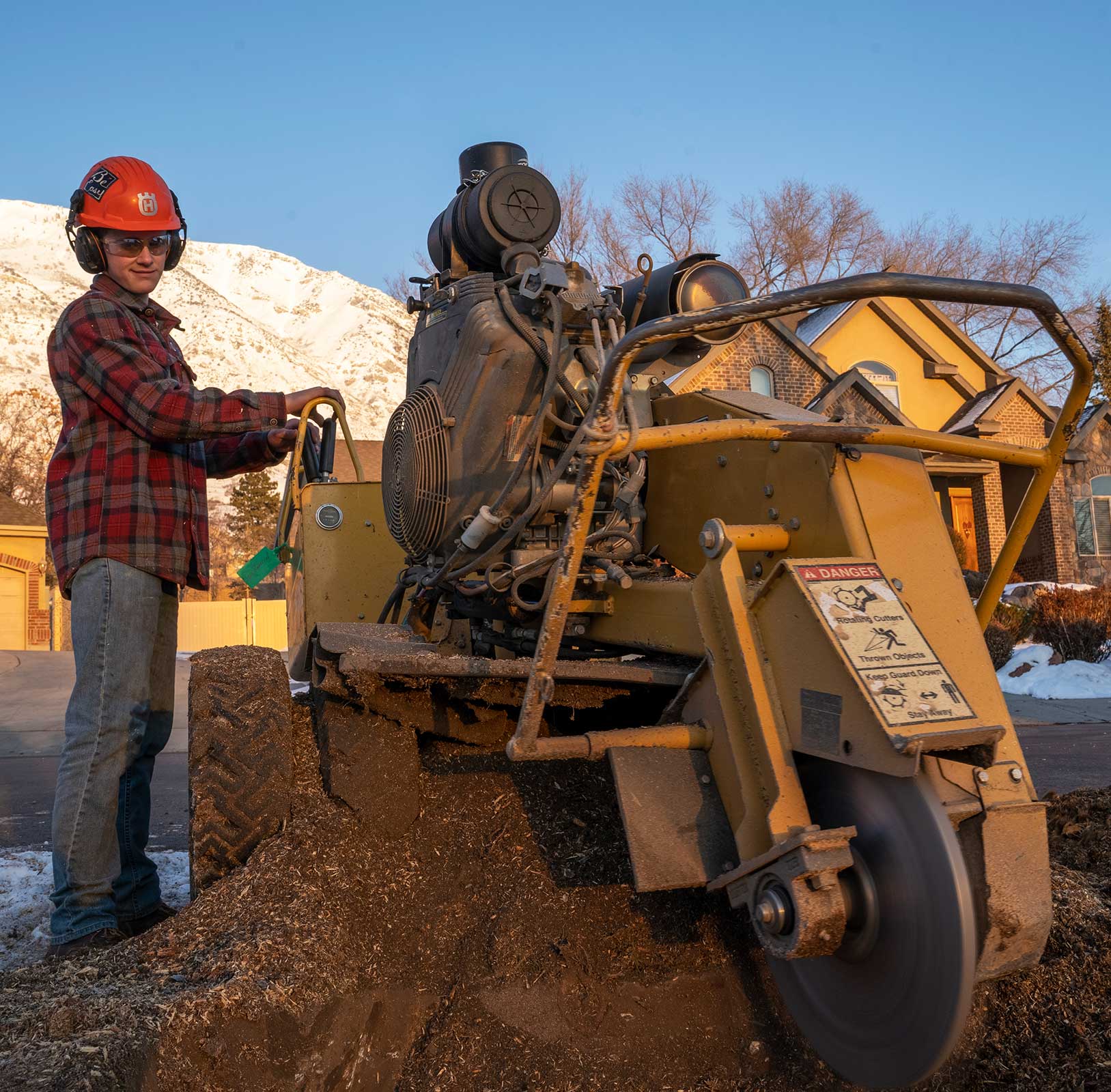 stump grinding company