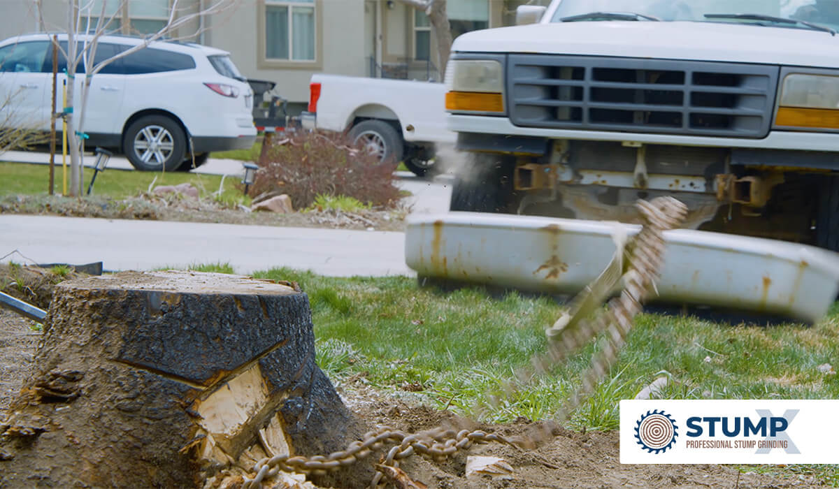 Featured image for “When Stump Removal Becomes a Comedy Act: A Collection of Hilarious DIY Attempts Gone Wrong”