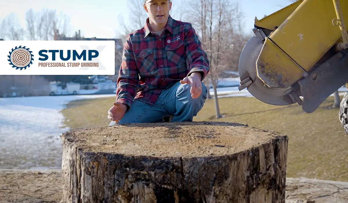 Featured image for “Why Stump Grinding is the Solution to Your Utah Yard Woes”