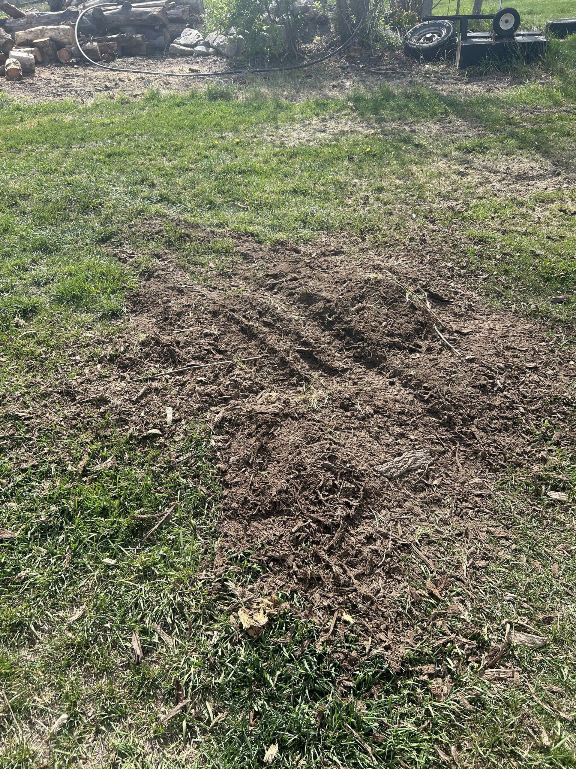 Featured image for “Affordable Stump Removal in American Fork, UT | Stump X”