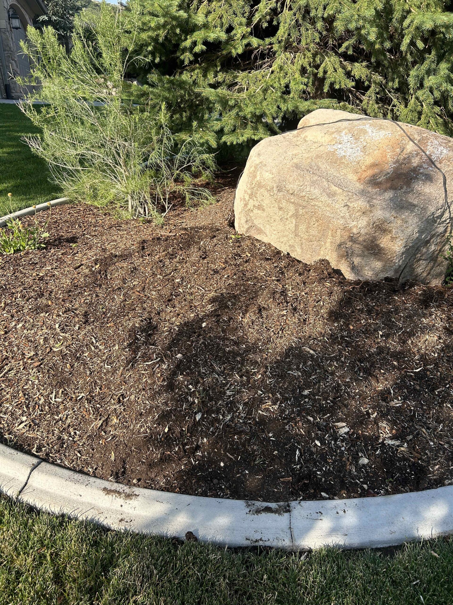 Featured image for “Affordable Stump Grinding in Draper – Free Consult with Stump X”