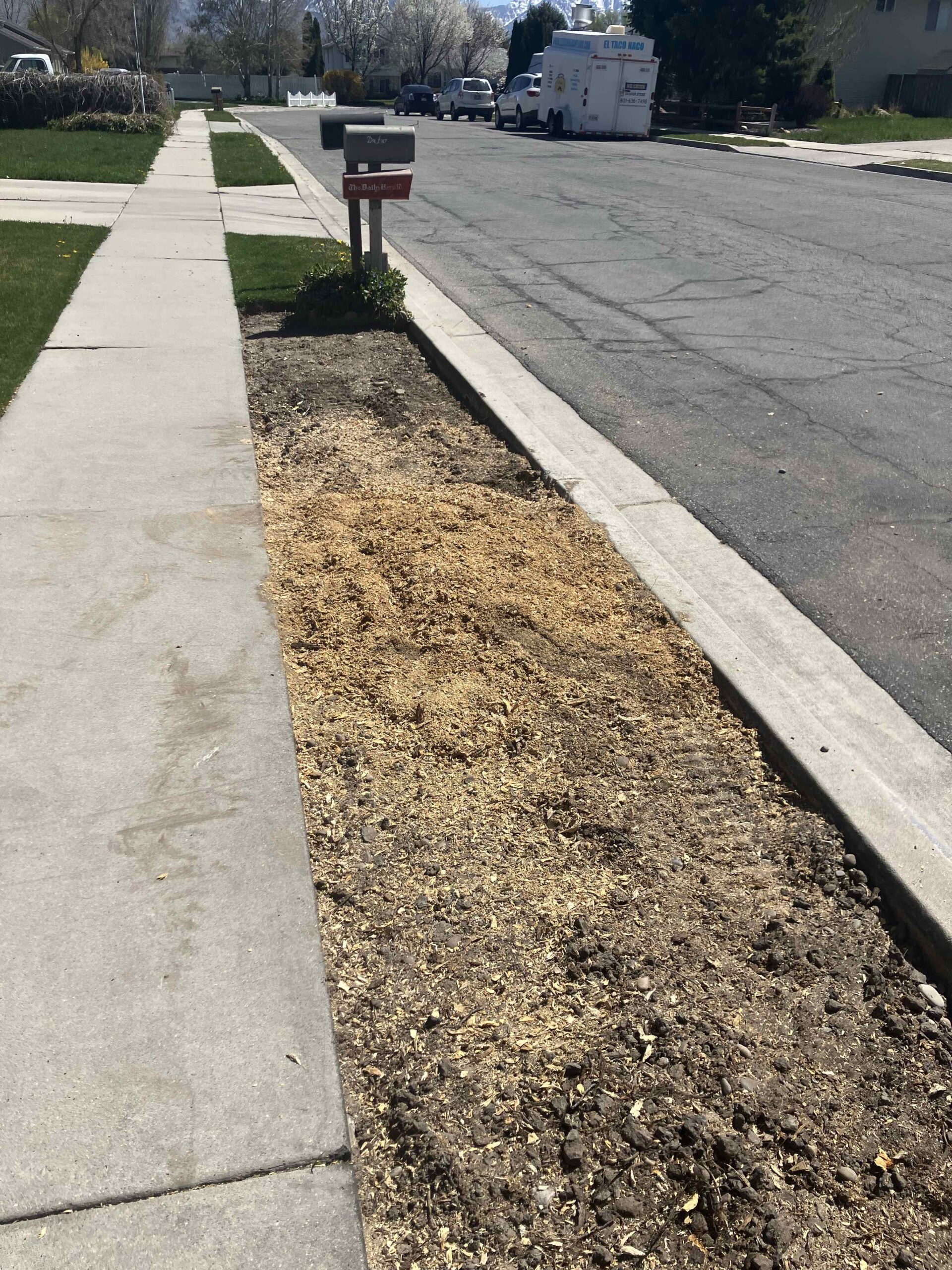 Featured image for “Affordable Stump Grinding in Lehi: Get Free Consult from Stump X”