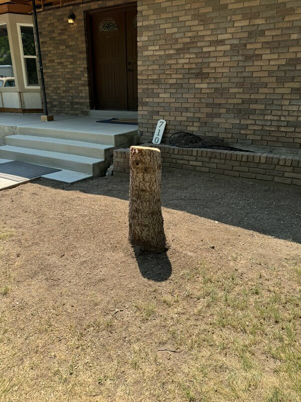 Featured image for “Affordable Stump Removal in Alpine UT: Get a Free Quote from Stump X”