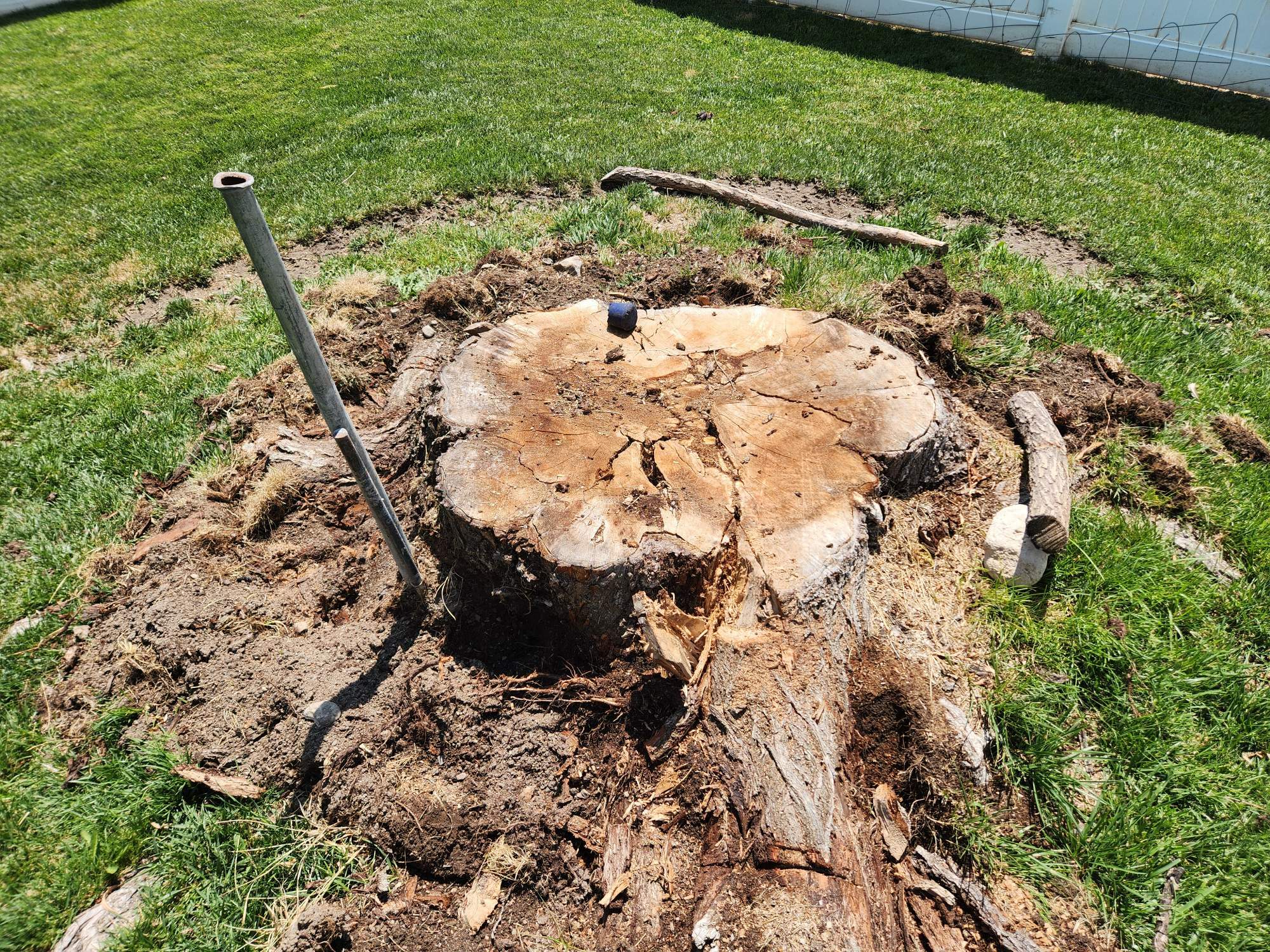 Featured image for “Stump X: Affordable Stump Grinding in Lehi, UT + Warranty”