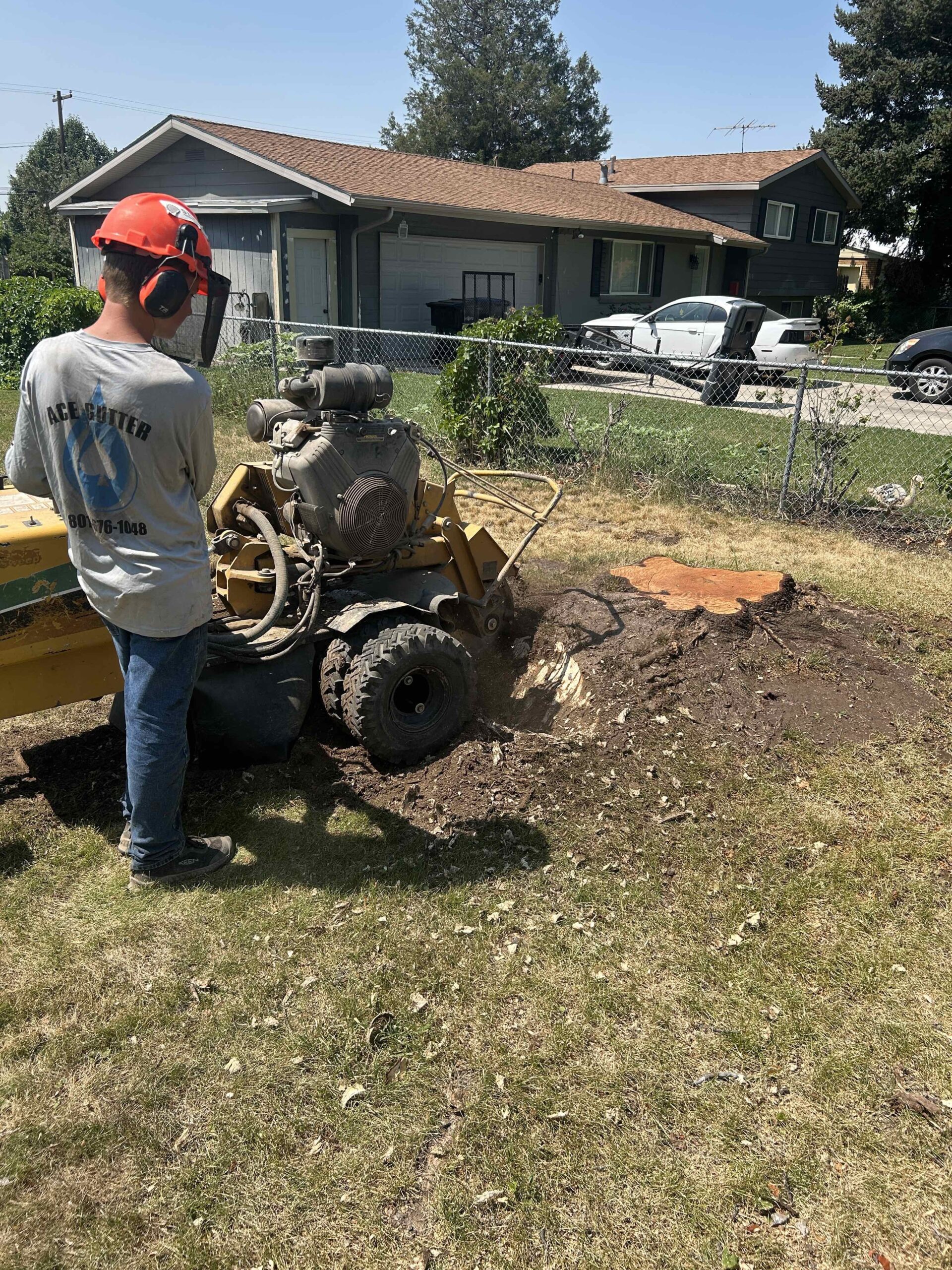 Featured image for “Unlock Affordable Stump Removal in Provo, UT with Stump X: Free Consultation & Warranty”