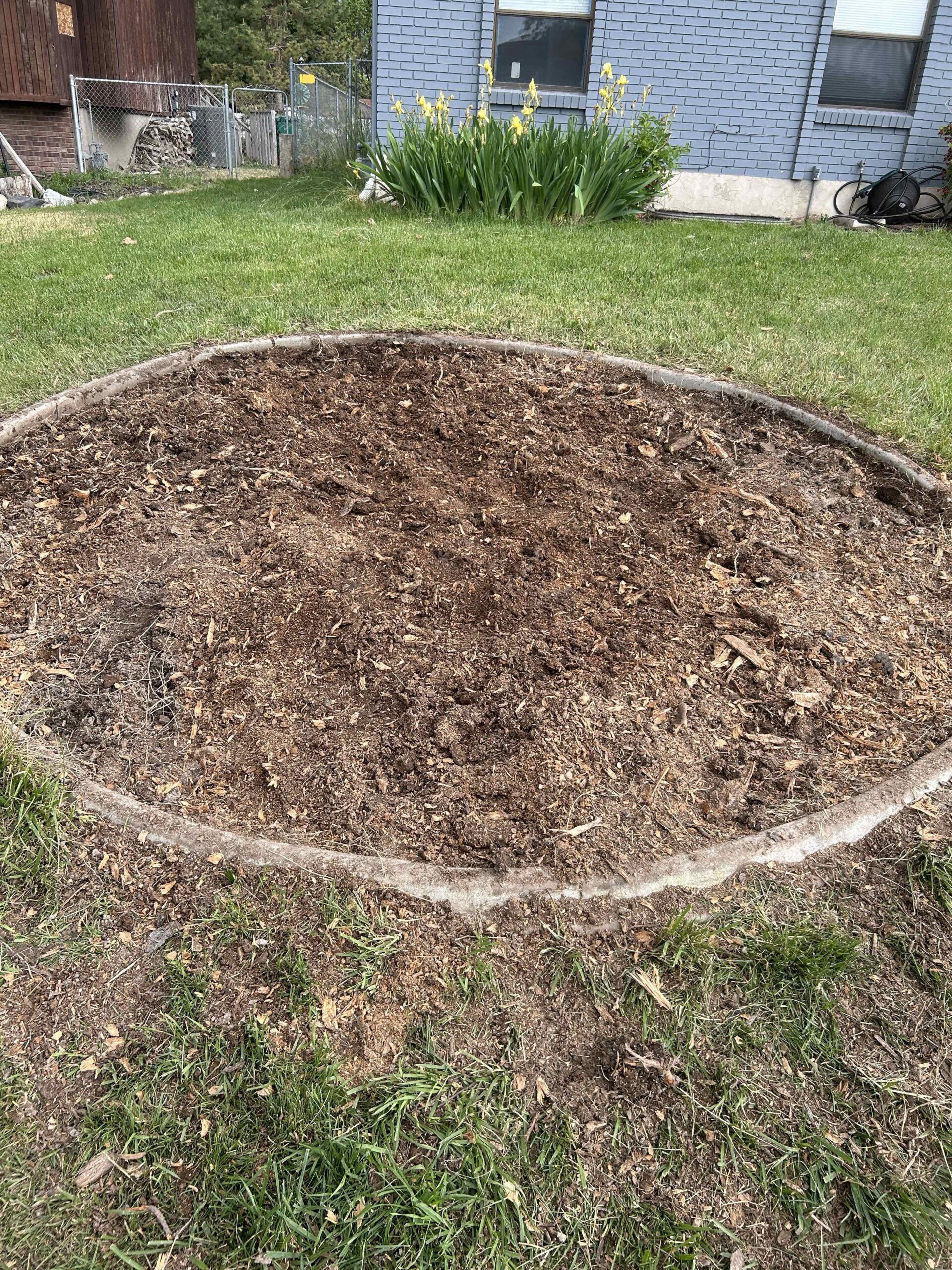 Featured image for “Affordable Stump Removal in Riverton, UT: Free Consult With Stump X”