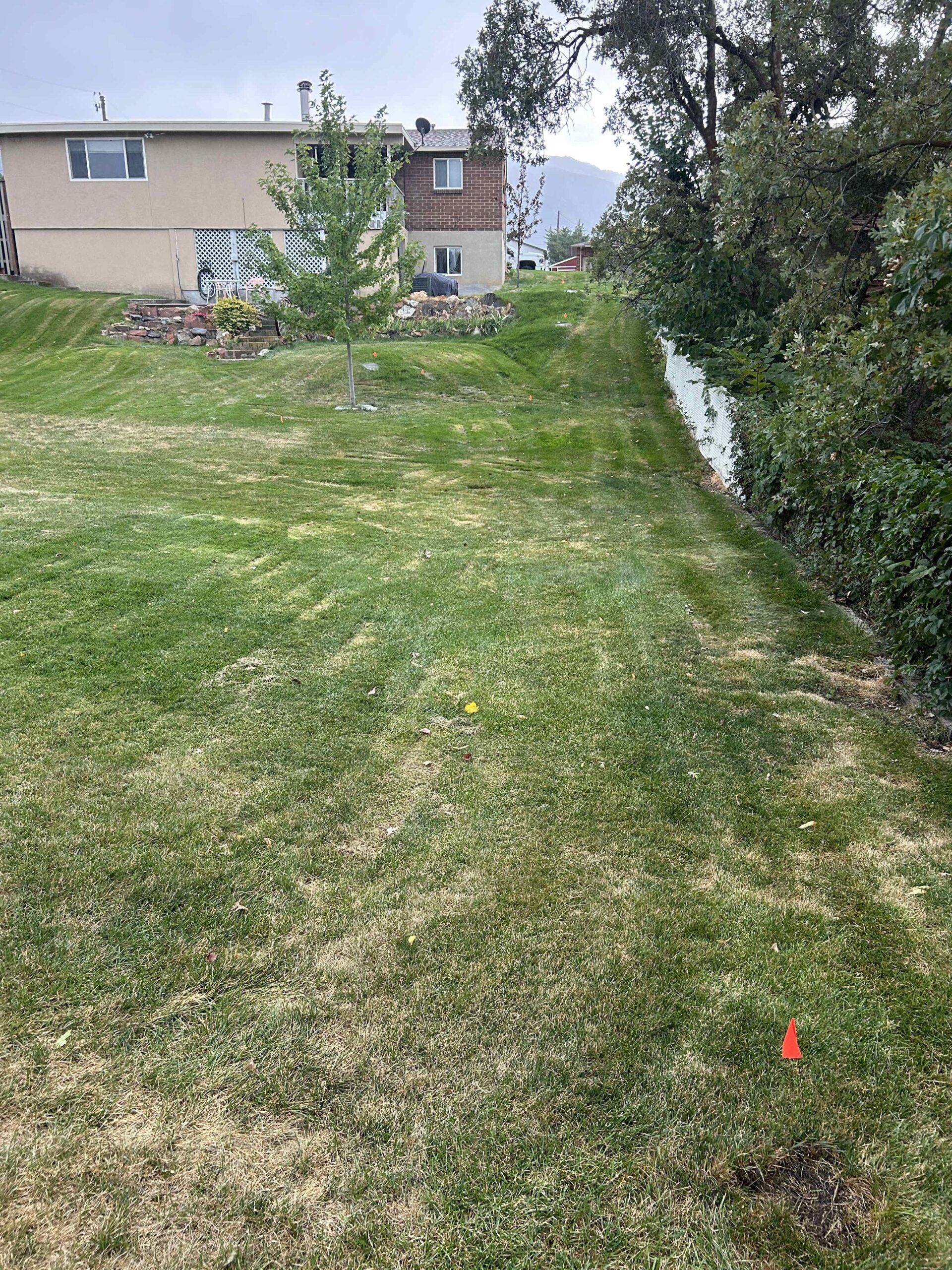 Featured image for “Affordable Stump Grinding in Cottonwood Heights, UT | Stump X”