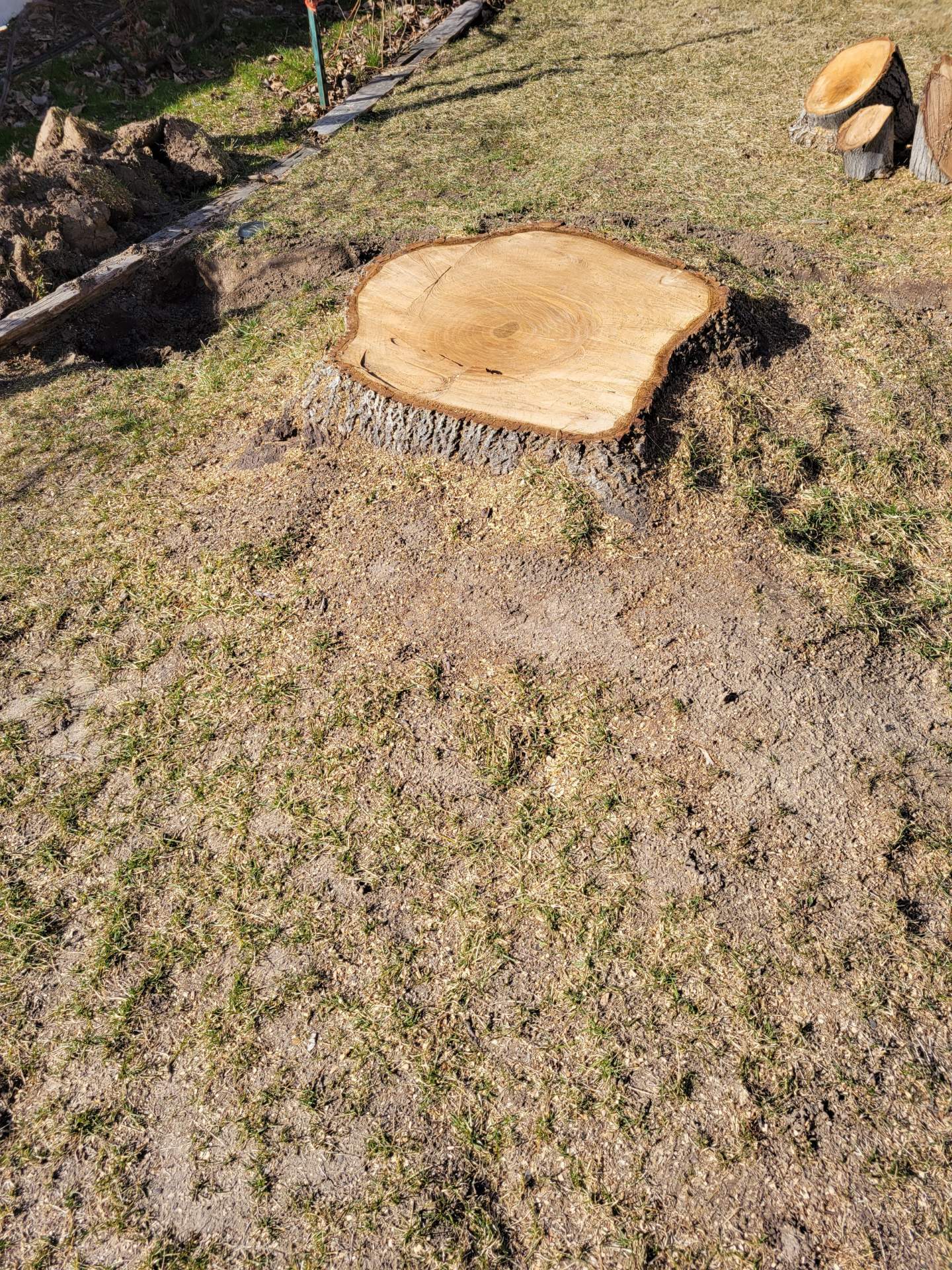 Featured image for “Affordable Stump Removal & Grinding in Syracuse, UT – Call Stump X!”