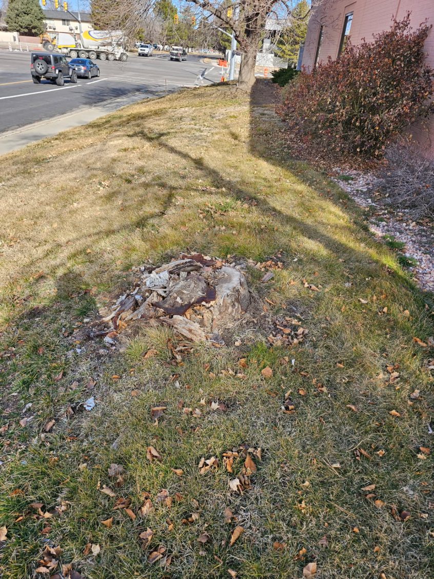 West Jordan UT Stump Removal & Grinding – Free Estimates