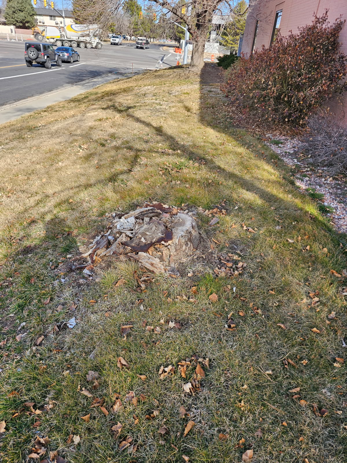 Featured image for “West Jordan UT Stump Removal & Grinding – Free Estimates”