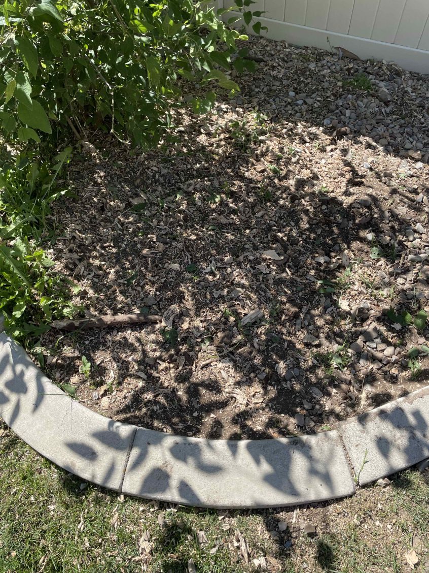 Fast, Affordable Stump Removal in Riverton UT – Free Quote