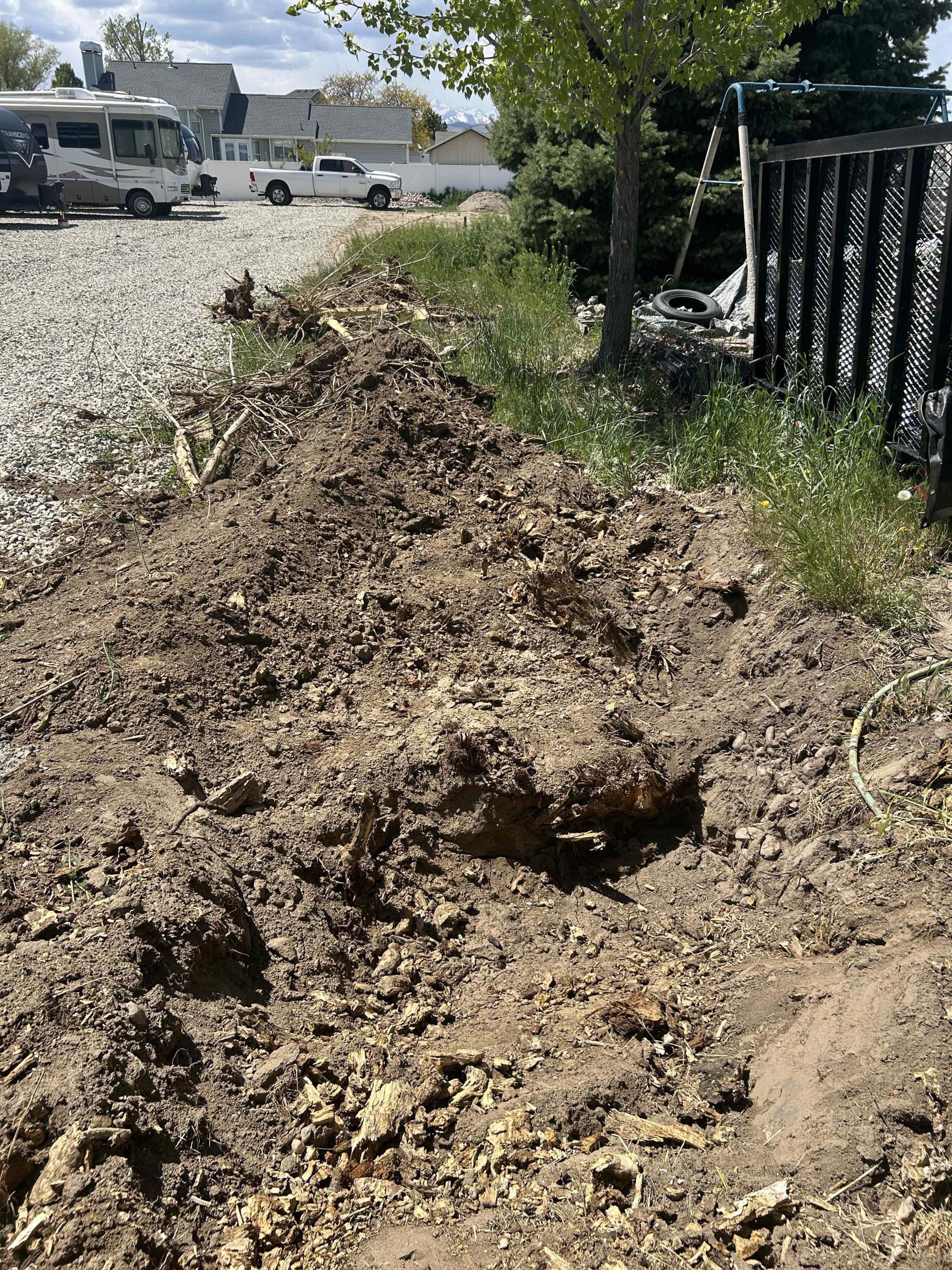 Featured image for “Stump Grinding vs. Stump Poisoning: Choosing the Right Approach in Lehi, UT”