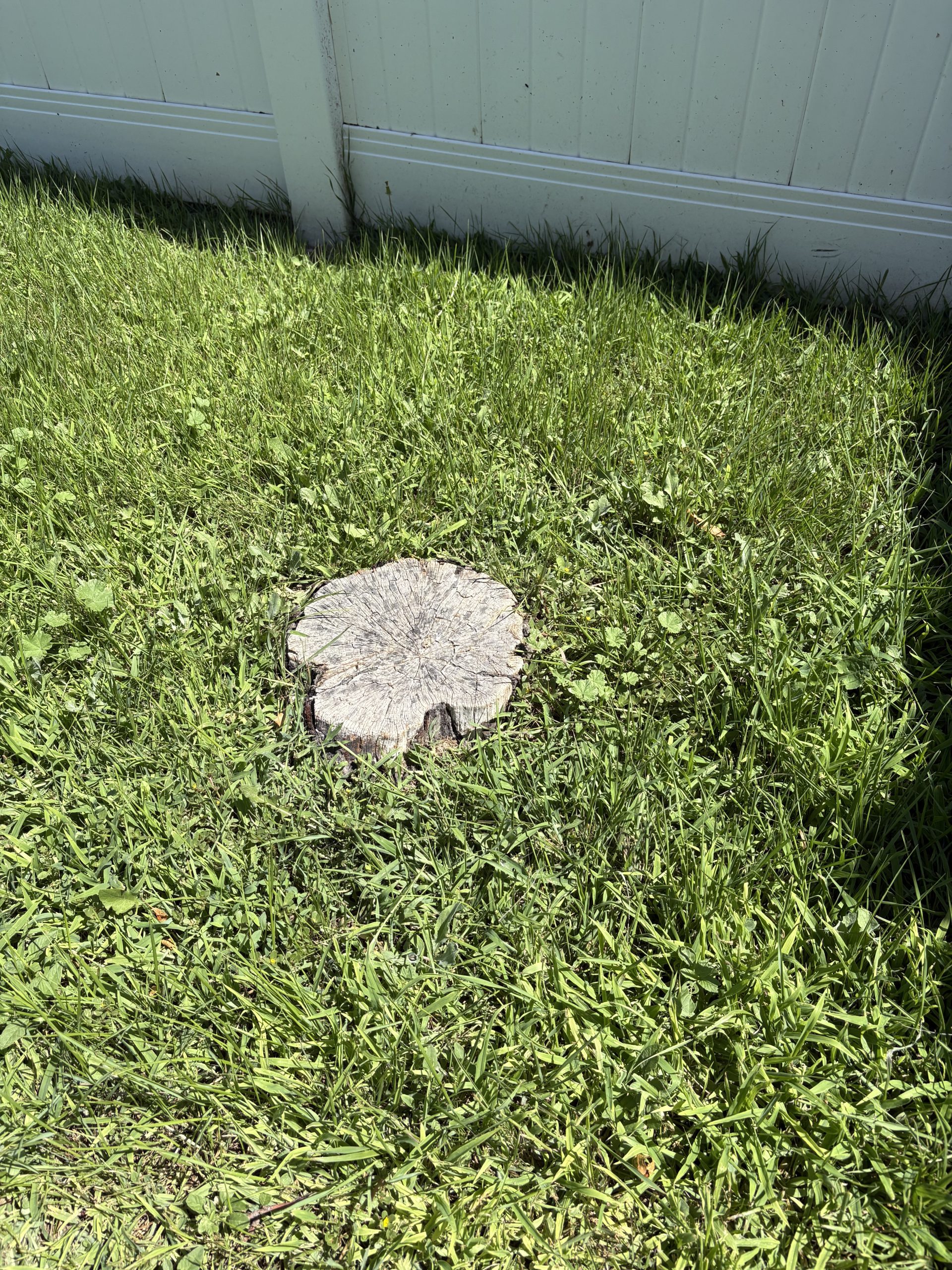 Featured image for “Tough Stump Removal in Riverton, Utah: Clearing a Yard the Right Way”