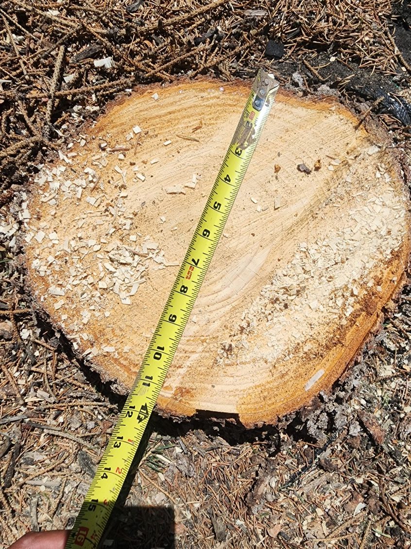 Stump Removal in South Jordan: Precision Matters More Than Most People Realize