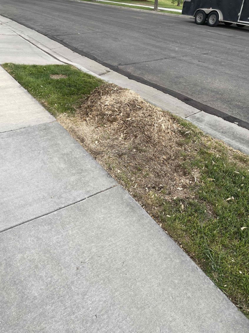 Grinding Two Side Yard Stumps in Riverton, Utah