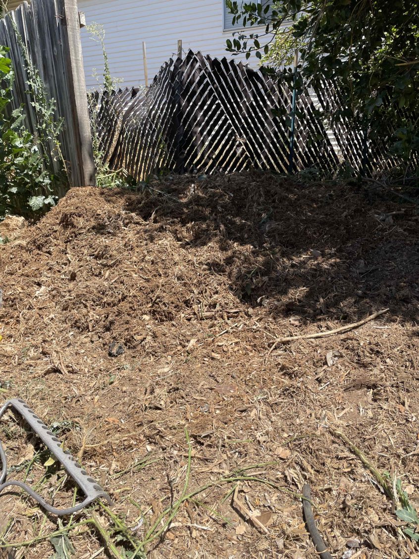 Difficult Access Stump Removal in Sandy, UT | What to Know