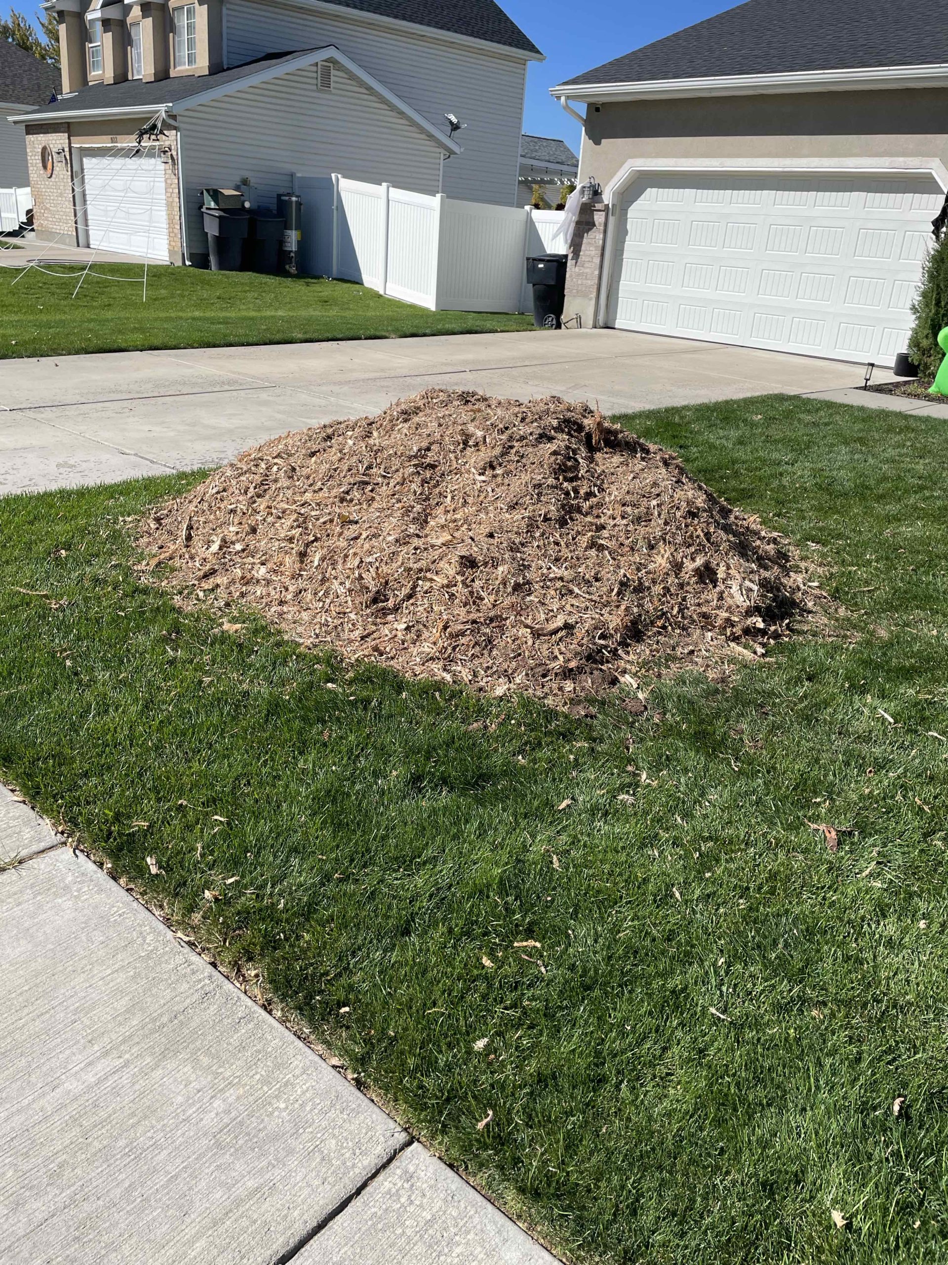 Featured image for “Professional Stump Grinding and Root Removal in Clinton, Utah”