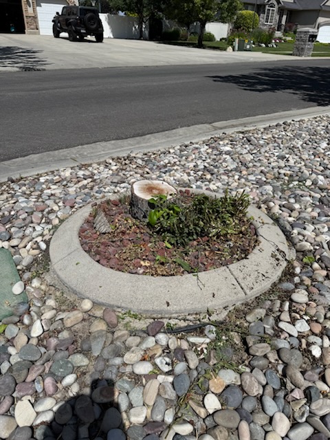 Featured image for “Stump Grinding and Removal Services for Draper Homeowners”