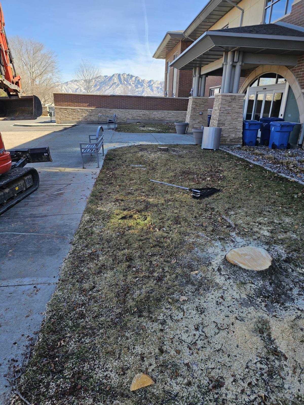 Featured image for “Public Spaces and Professional Stump Grinding: Taylorsville, Utah”